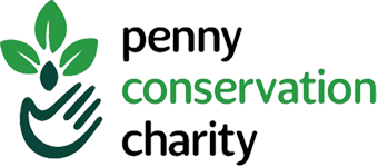 Penny Conservation